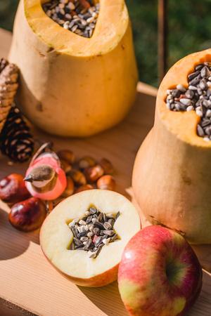 Garden Diy Self Made Bird Feeder Pumpkins Apples Box