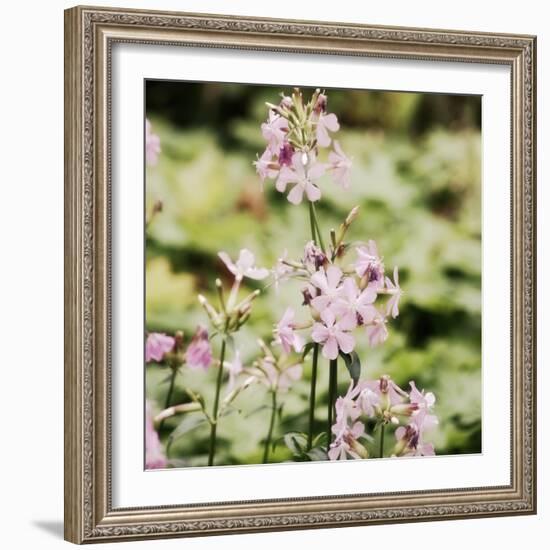 Garden Dreams 1-Linda Hoey-Framed Art Print