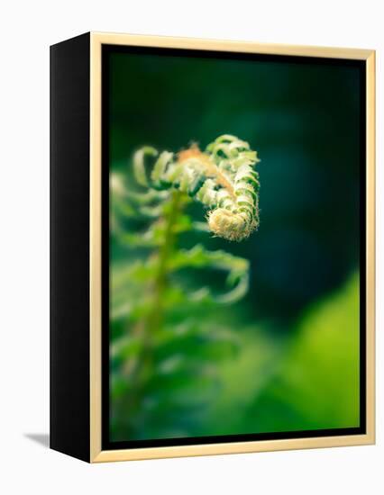 Garden Fern-Savanah Plank-Framed Stretched Canvas