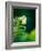 Garden Fern-Savanah Plank-Framed Photo