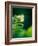 Garden Fern-Savanah Plank-Framed Photo