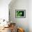 Garden Fern-Savanah Plank-Framed Photo displayed on a wall