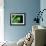 Garden Fern-Savanah Plank-Framed Photo displayed on a wall