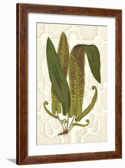 Garden Ferns I-Vision Studio-Framed Art Print