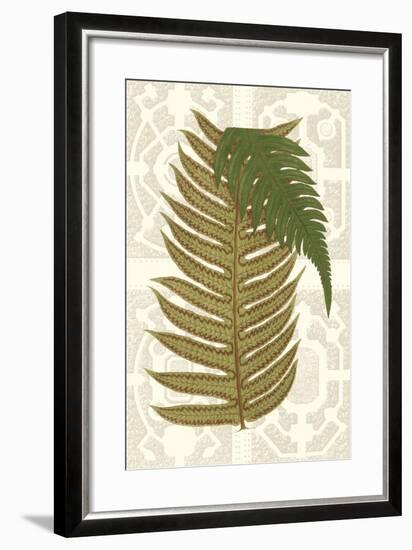 Garden Ferns II-Vision Studio-Framed Art Print