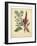 Garden Flora I-Sydenham Edwards-Framed Art Print