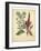 Garden Flora I-Sydenham Edwards-Framed Art Print