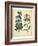 Garden Flora II-Sydenham Edwards-Framed Art Print