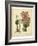 Garden Flora III-Sydenham Edwards-Framed Art Print