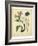 Garden Flora VIII-Sydenham Edwards-Framed Art Print