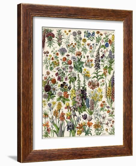 Garden Flowers, Lily, Daffodil, Tulip, Dahlia, Zinnia, Pansy, Marigold-null-Framed Giclee Print