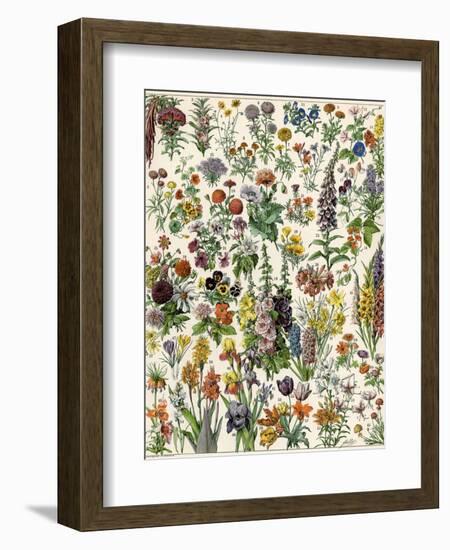 Garden Flowers, Lily, Daffodil, Tulip, Dahlia, Zinnia, Pansy, Marigold--Framed Giclee Print