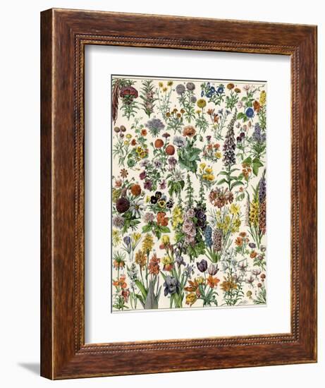 Garden Flowers, Lily, Daffodil, Tulip, Dahlia, Zinnia, Pansy, Marigold-null-Framed Giclee Print