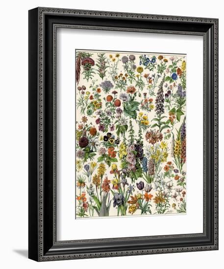 Garden Flowers, Lily, Daffodil, Tulip, Dahlia, Zinnia, Pansy, Marigold--Framed Giclee Print