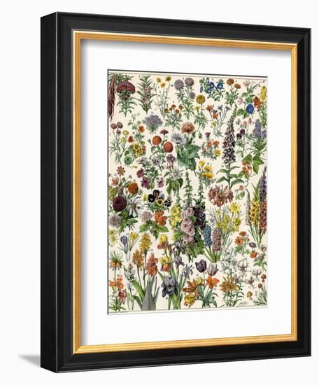 Garden Flowers, Lily, Daffodil, Tulip, Dahlia, Zinnia, Pansy, Marigold-null-Framed Giclee Print