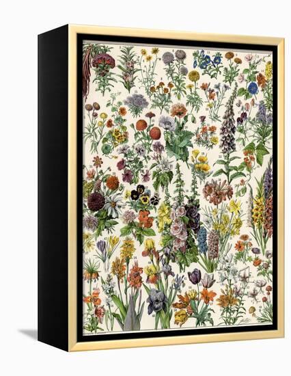 Garden Flowers, Lily, Daffodil, Tulip, Dahlia, Zinnia, Pansy, Marigold-null-Framed Premier Image Canvas