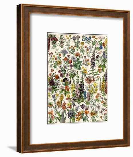 Garden Flowers, Lily, Daffodil, Tulip, Dahlia, Zinnia, Pansy, Marigold-null-Framed Premium Giclee Print