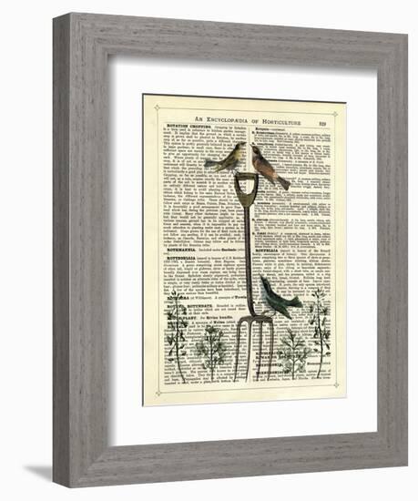 Garden Fork & Birds-Marion Mcconaghie-Framed Art Print