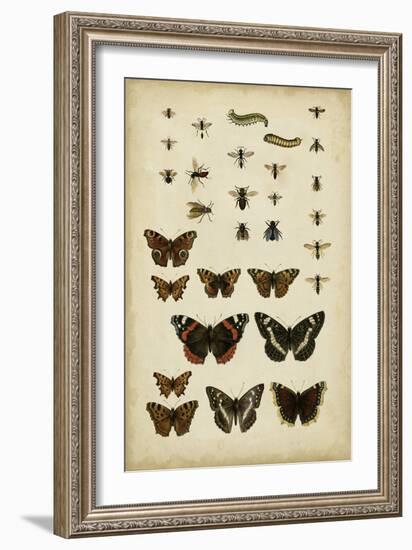 Garden Friends-Vision Studio-Framed Premium Giclee Print