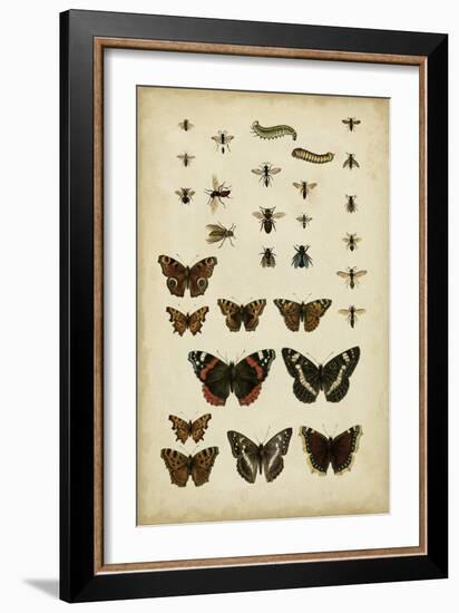 Garden Friends-Vision Studio-Framed Premium Giclee Print