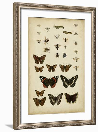 Garden Friends-Vision Studio-Framed Art Print