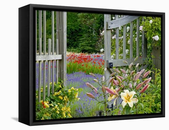 Garden Gate, Bainbridge Island, Washington, USA-Don Paulson-Framed Premier Image Canvas