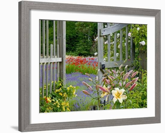 Garden Gate, Bainbridge Island, Washington, USA-Don Paulson-Framed Photographic Print