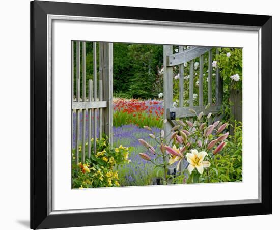 Garden Gate, Bainbridge Island, Washington, USA-Don Paulson-Framed Photographic Print