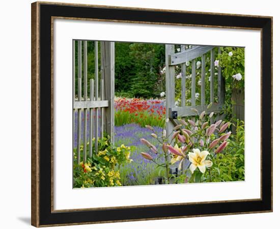 Garden Gate, Bainbridge Island, Washington, USA-Don Paulson-Framed Photographic Print