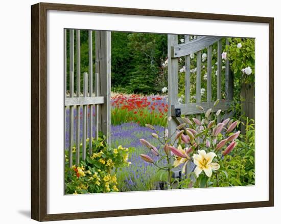 Garden Gate, Bainbridge Island, Washington, USA-Don Paulson-Framed Photographic Print