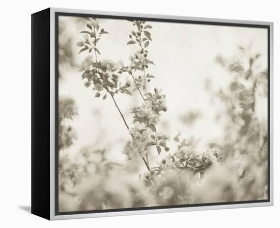 Garden Grace-Irene Suchocki-Framed Stretched Canvas