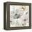 Garden Grays - Detail II-Carol Robinson-Framed Stretched Canvas