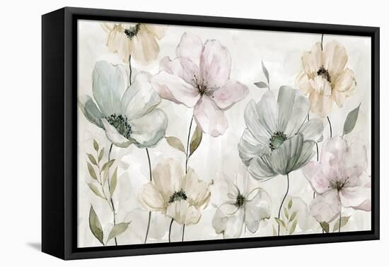 Garden Grays-Carol Robinson-Framed Stretched Canvas