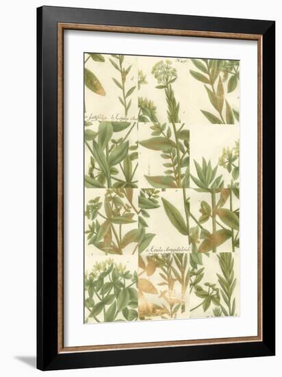 Garden Grid III-Johann Weinmann-Framed Art Print