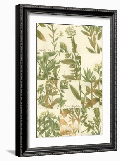 Garden Grid III-Johann Weinmann-Framed Art Print