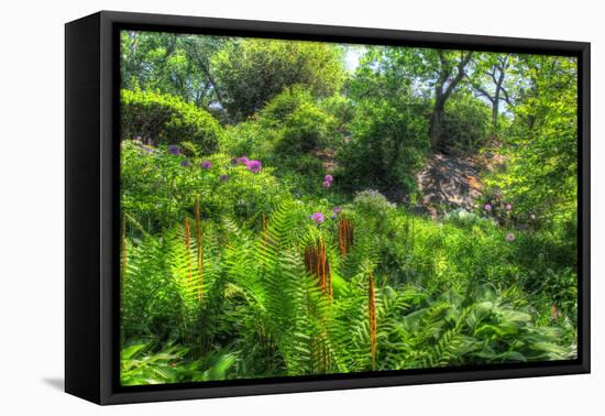 Garden Hillside-Robert Goldwitz-Framed Premier Image Canvas