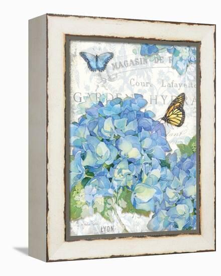 Garden Hydrangea I-Julie Paton-Framed Stretched Canvas