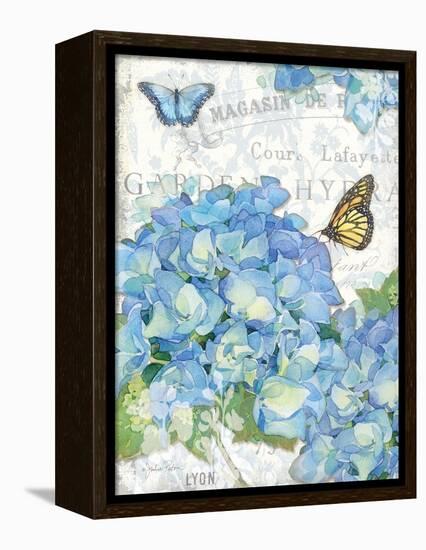 Garden Hydrangea I-Julie Paton-Framed Stretched Canvas