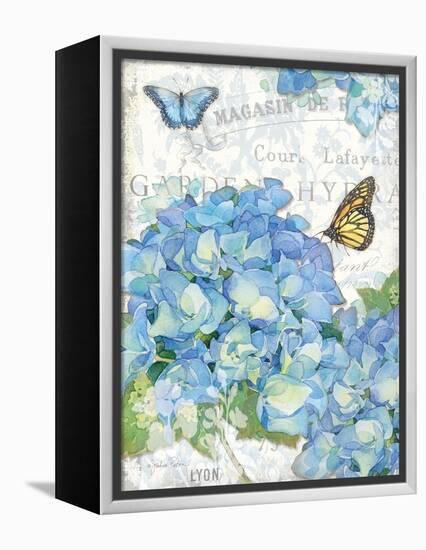 Garden Hydrangea I-Julie Paton-Framed Stretched Canvas