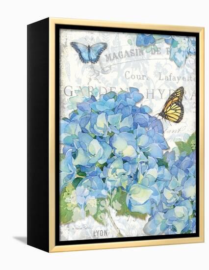 Garden Hydrangea I-Julie Paton-Framed Stretched Canvas