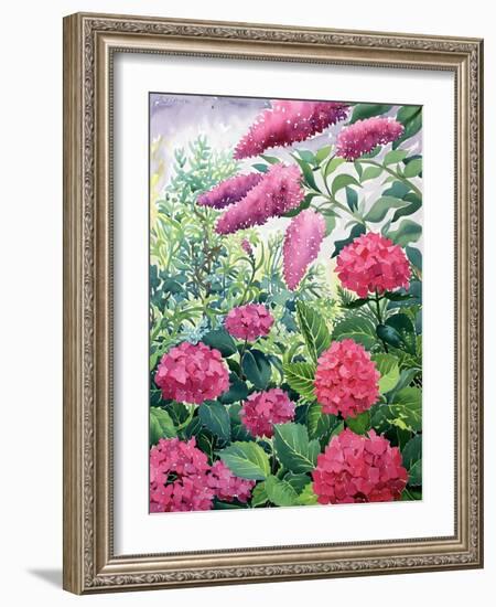 Garden Hydrangeas and Buddleia-Christopher Ryland-Framed Giclee Print