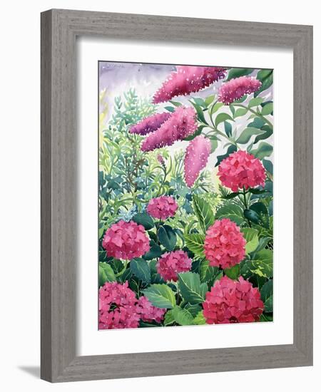 Garden Hydrangeas and Buddleia-Christopher Ryland-Framed Giclee Print