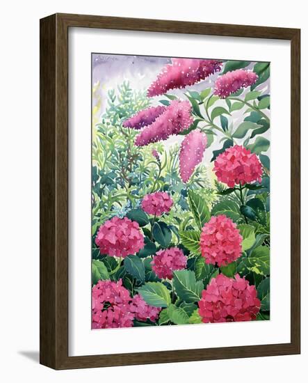 Garden Hydrangeas and Buddleia-Christopher Ryland-Framed Giclee Print