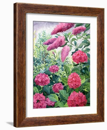 Garden Hydrangeas and Buddleia-Christopher Ryland-Framed Giclee Print