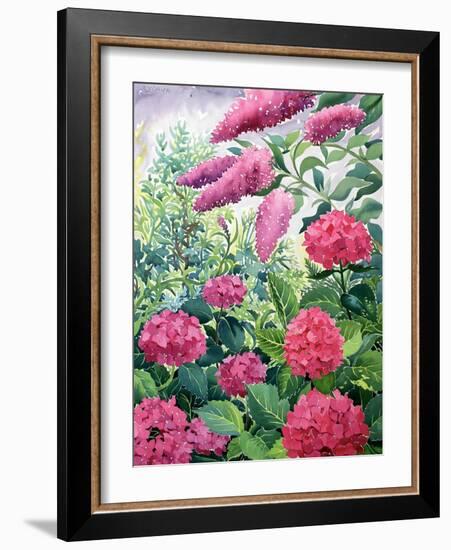 Garden Hydrangeas and Buddleia-Christopher Ryland-Framed Giclee Print