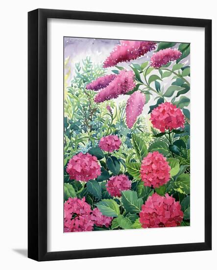 Garden Hydrangeas and Buddleia-Christopher Ryland-Framed Giclee Print