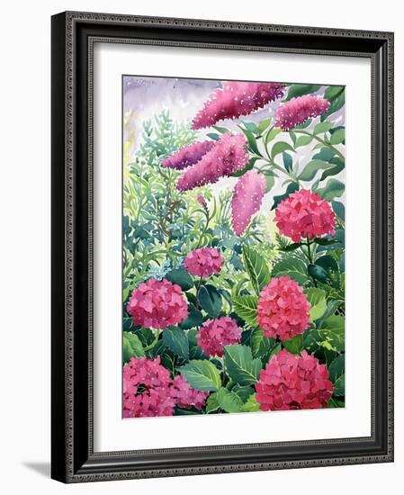 Garden Hydrangeas and Buddleia-Christopher Ryland-Framed Giclee Print