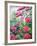 Garden Hydrangeas and Buddleia-Christopher Ryland-Framed Giclee Print