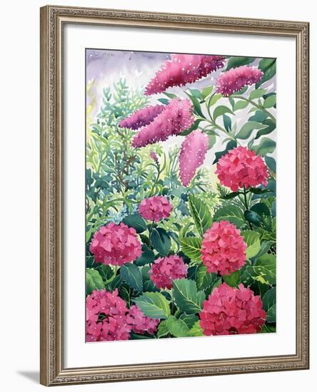 Garden Hydrangeas and Buddleia-Christopher Ryland-Framed Giclee Print