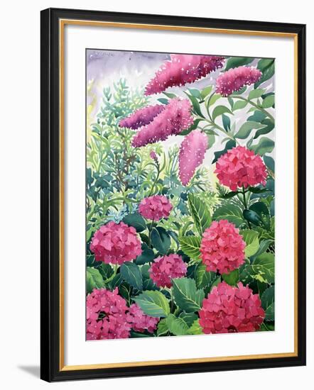 Garden Hydrangeas and Buddleia-Christopher Ryland-Framed Giclee Print